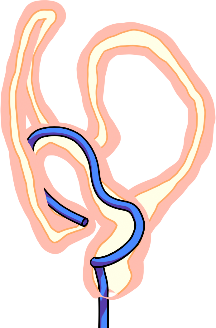 New Methodology for Colonoscopy Simulation
